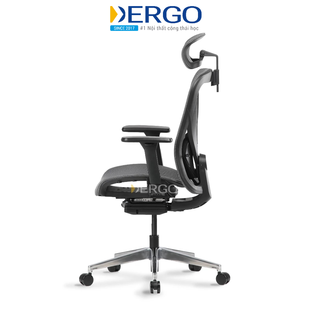 Ghế Công Thái Học DERGO Ergonomic Office Chair Ergostuhl Q1