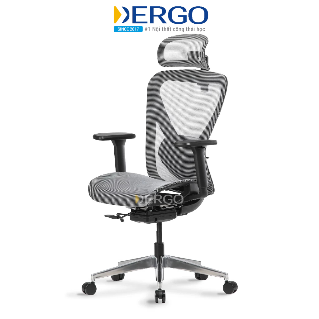 Ghế Công Thái Học DERGO Ergonomic Office Chair Ergostuhl Q1