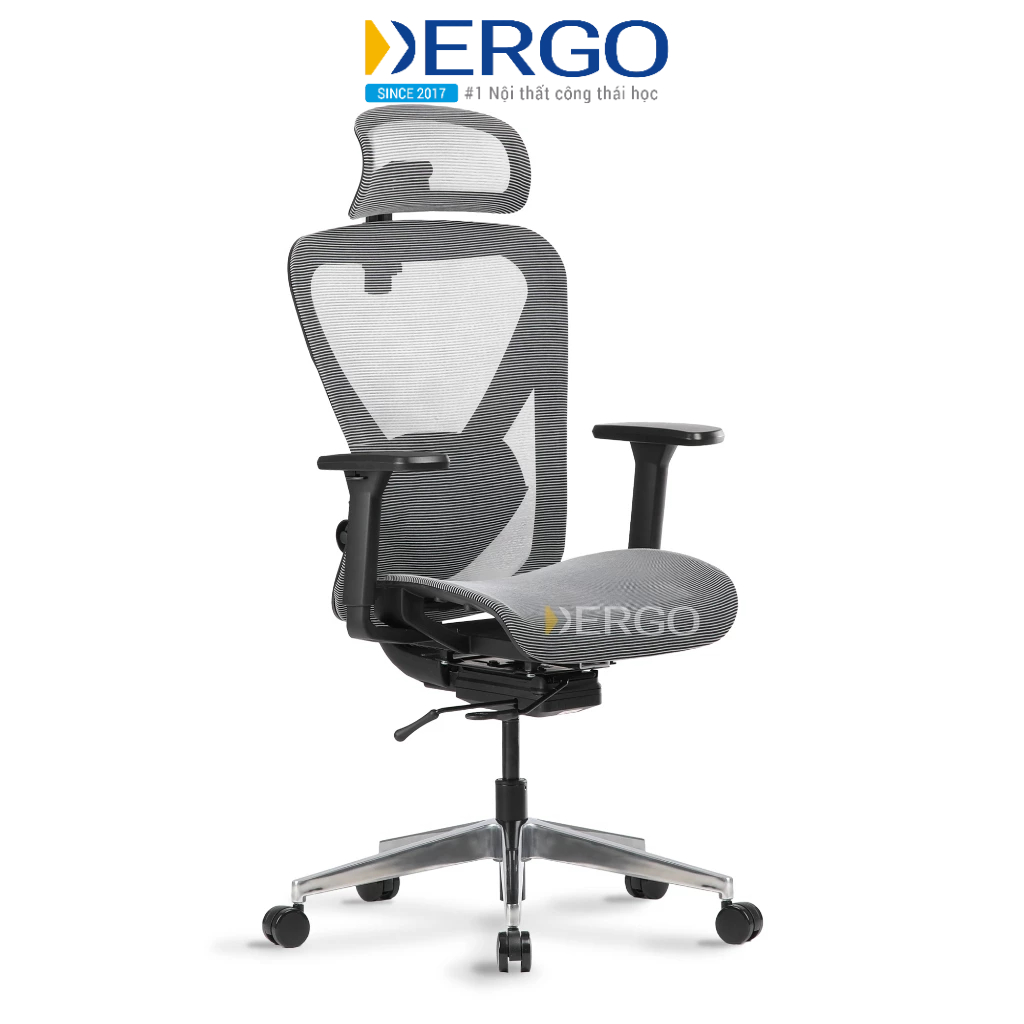 Ghế Công Thái Học DERGO Ergonomic Office Chair Ergostuhl Q1