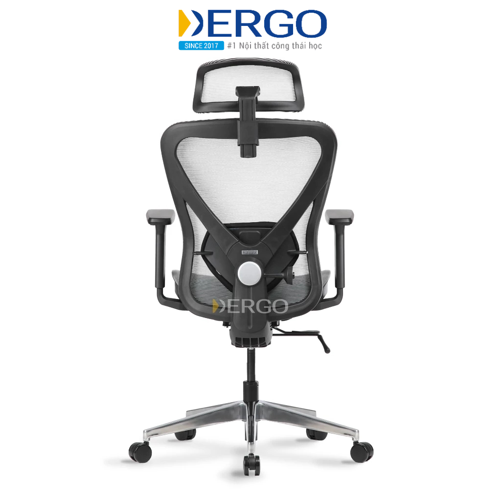 Ghế Công Thái Học DERGO Ergonomic Office Chair Ergostuhl Q1