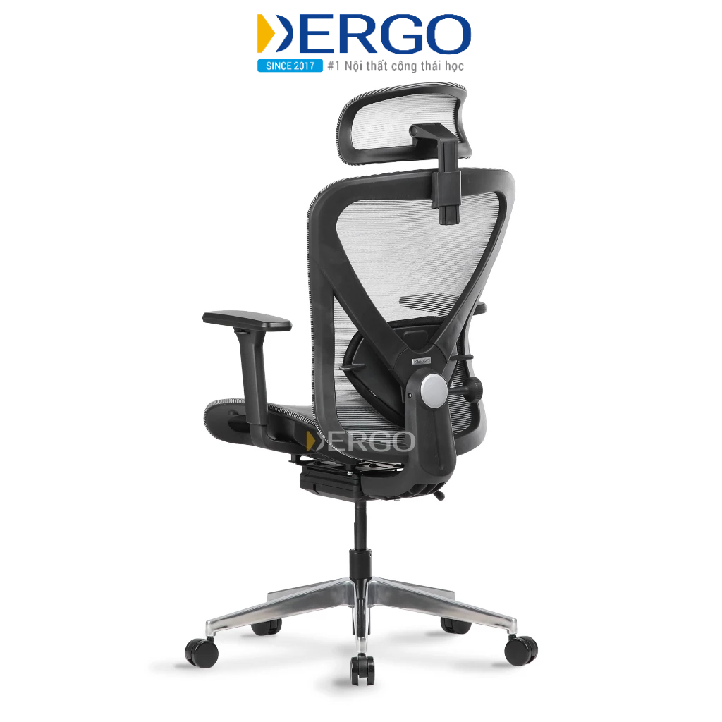 Ghế Công Thái Học DERGO Ergonomic Office Chair Ergostuhl Q1