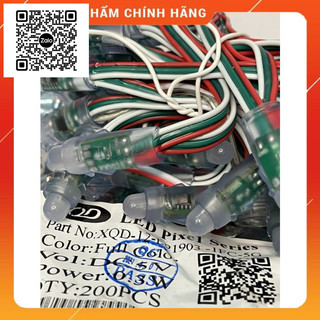 Led Đúc 8mm 1903 XQD Full Color Hàng Chính Hãng Công Ty - Túi 200 Con Led 1903 Full Color XQD - Led Đúc 8mm