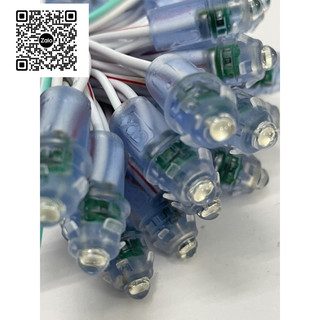 2 Dây Led Đúc F5 XQD ( 100 Con ) - Chính Hãng Công Ty