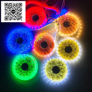 Led Dây Dán 12V 5050 Cuộn 5M - Cuộn Led Dây Dán 5050 Có Có Keo Dính