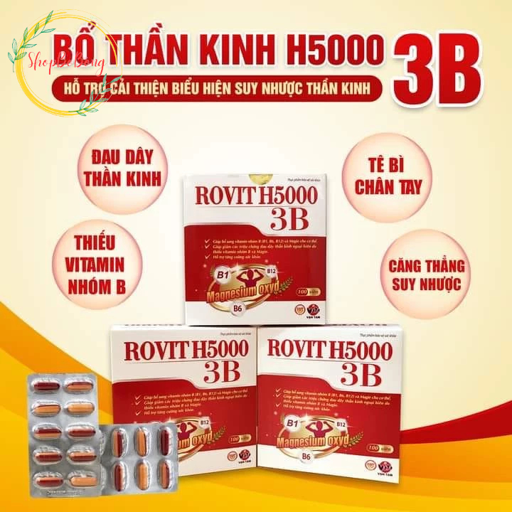 Rovit H5000 3B Bổ sung Vitamin nhóm B -B1,B6,B12 và Magie, giảm đau dây thần kinh ngoại biên, tăng cường sức khỏe