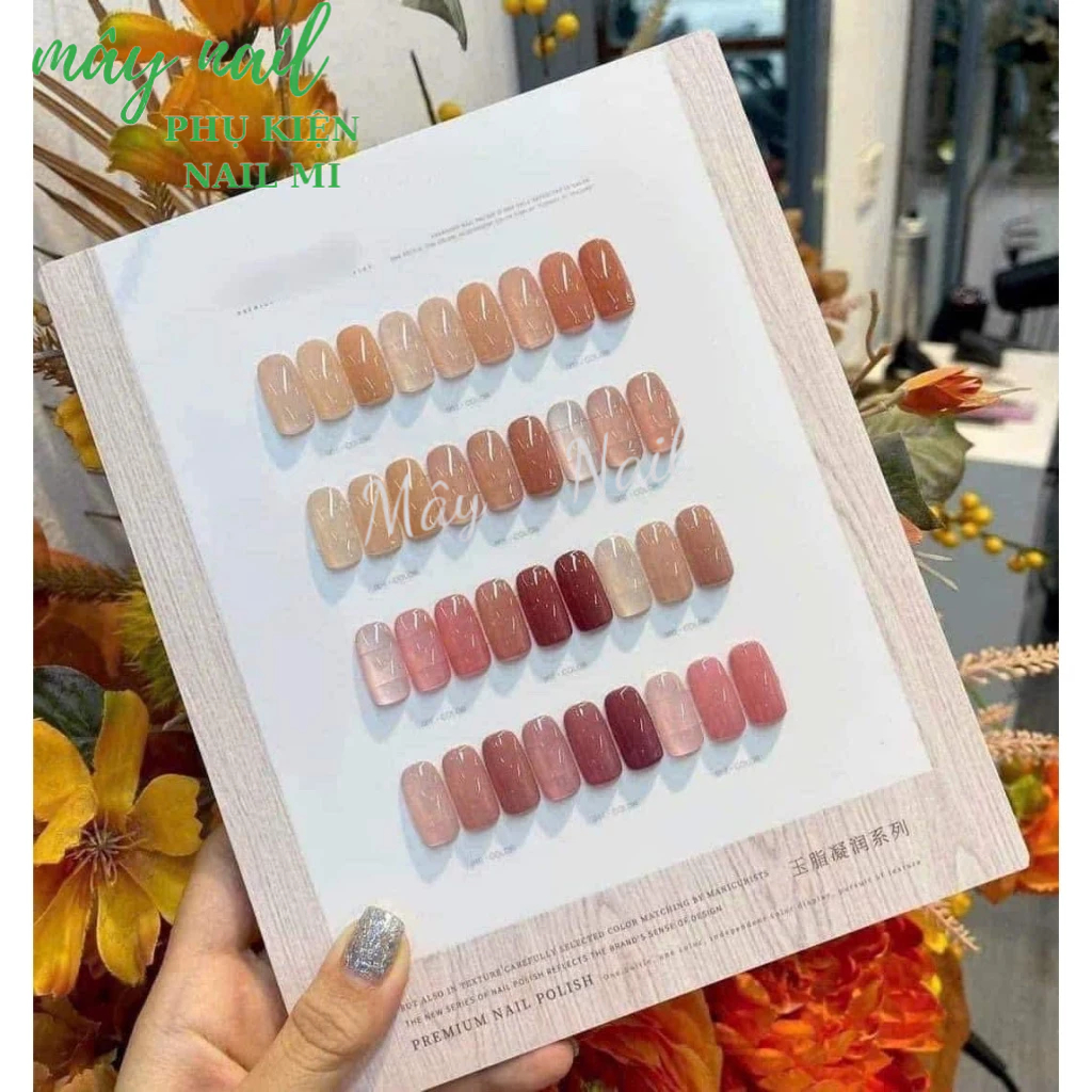 Sét sơn thạch 12 màu Aivennhuy tặng kèm bảng màu