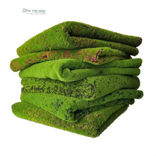  Thảm Cỏ Rêu Nhân Tạo 1m x1m Dùng Trong Trang Trí Tiểu Cảnh Terrarium Trang Trí Tường Cỏ Dựng Mô Hình decor trang tri 