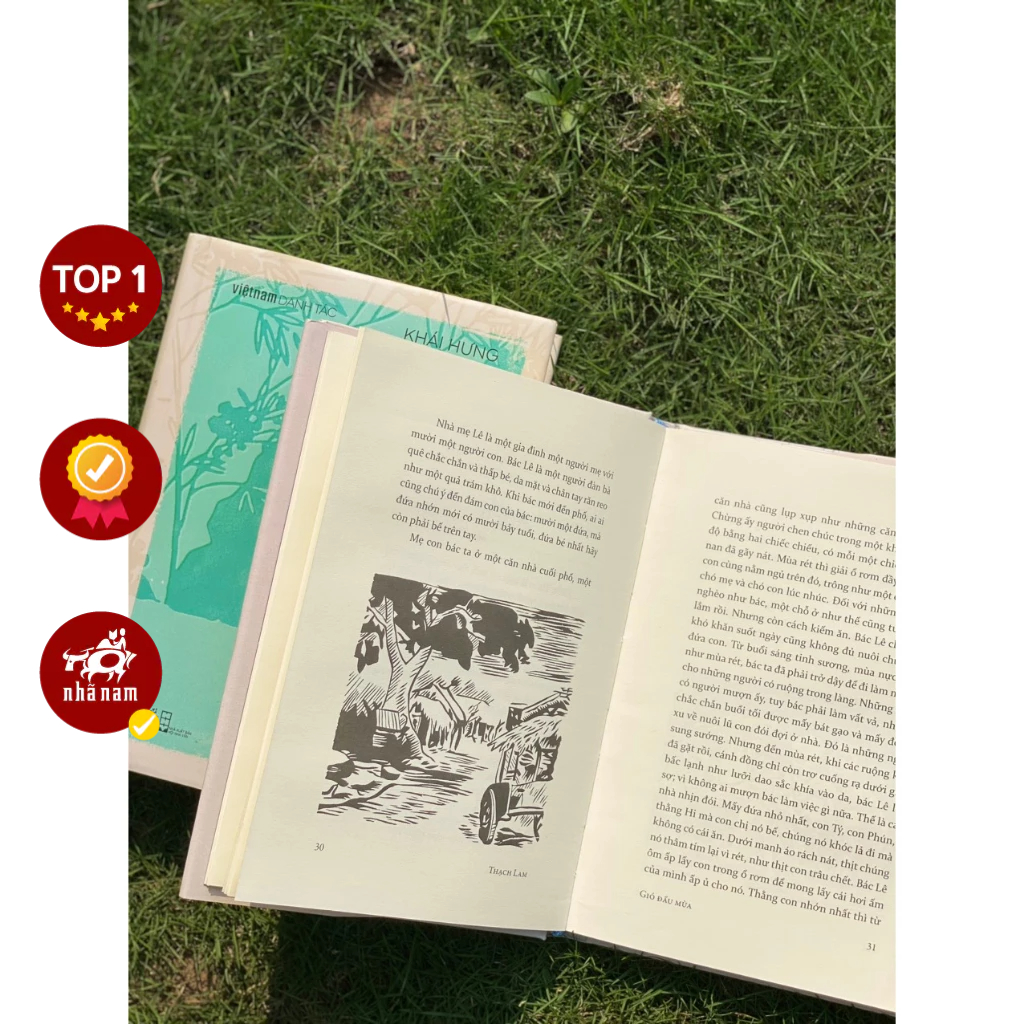 Sách -  Series Việt Nam danh tác