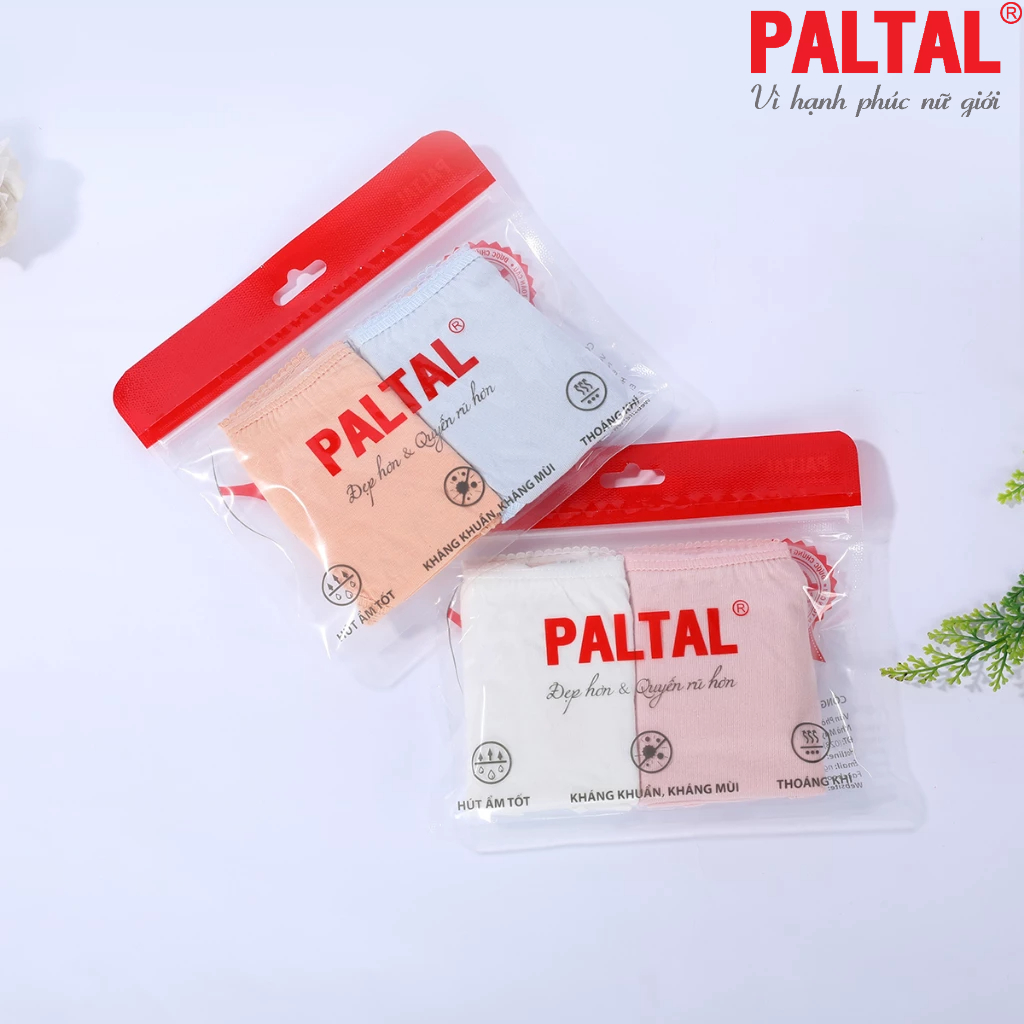 Combo 02-06-10 quần lót cotton 027p 7245