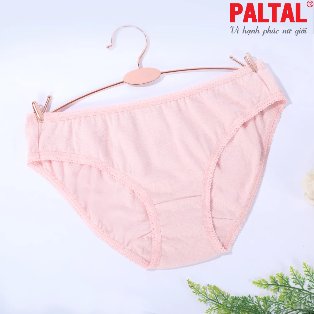 Combo 02-06-10 quần lót cotton 027p 7245