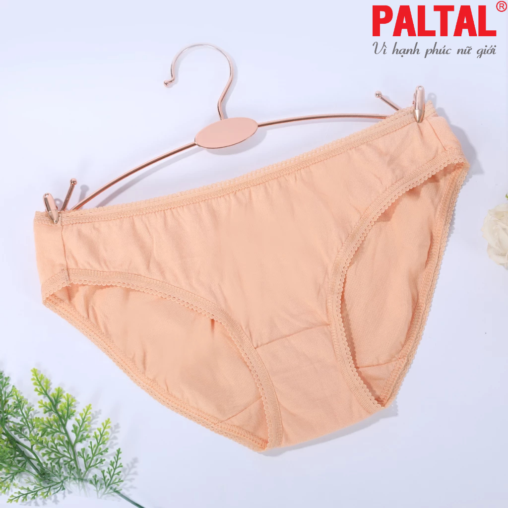 Combo 02-06-10 quần lót cotton 027p 7245