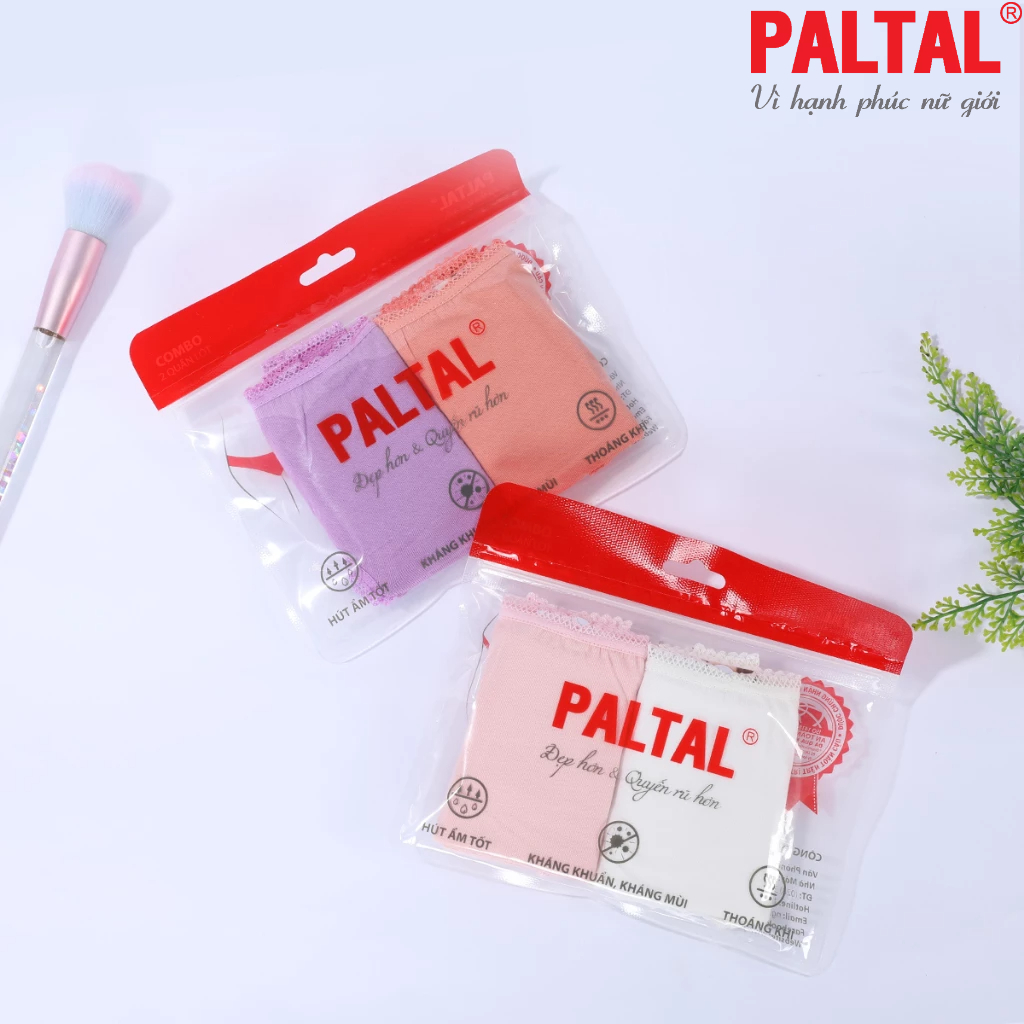 Combo 02-06-10 quần lót cotton 027p 7249