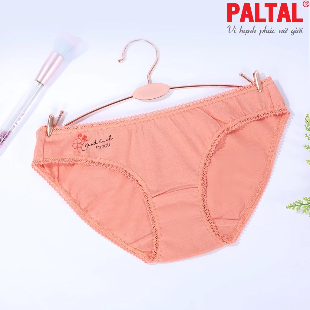 Combo 02-06-10 quần lót cotton 027p 7249