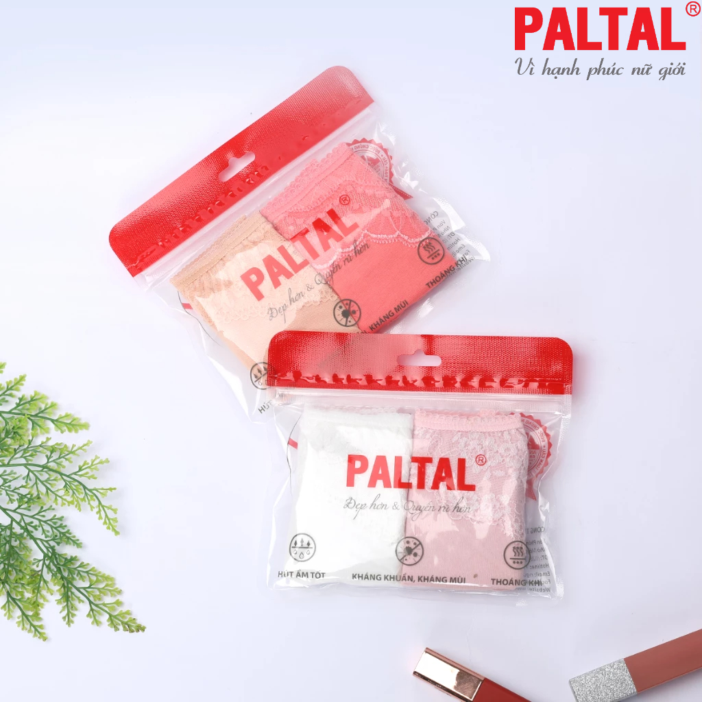 Combo 02-06-10 quần lót cotton 027p 7248