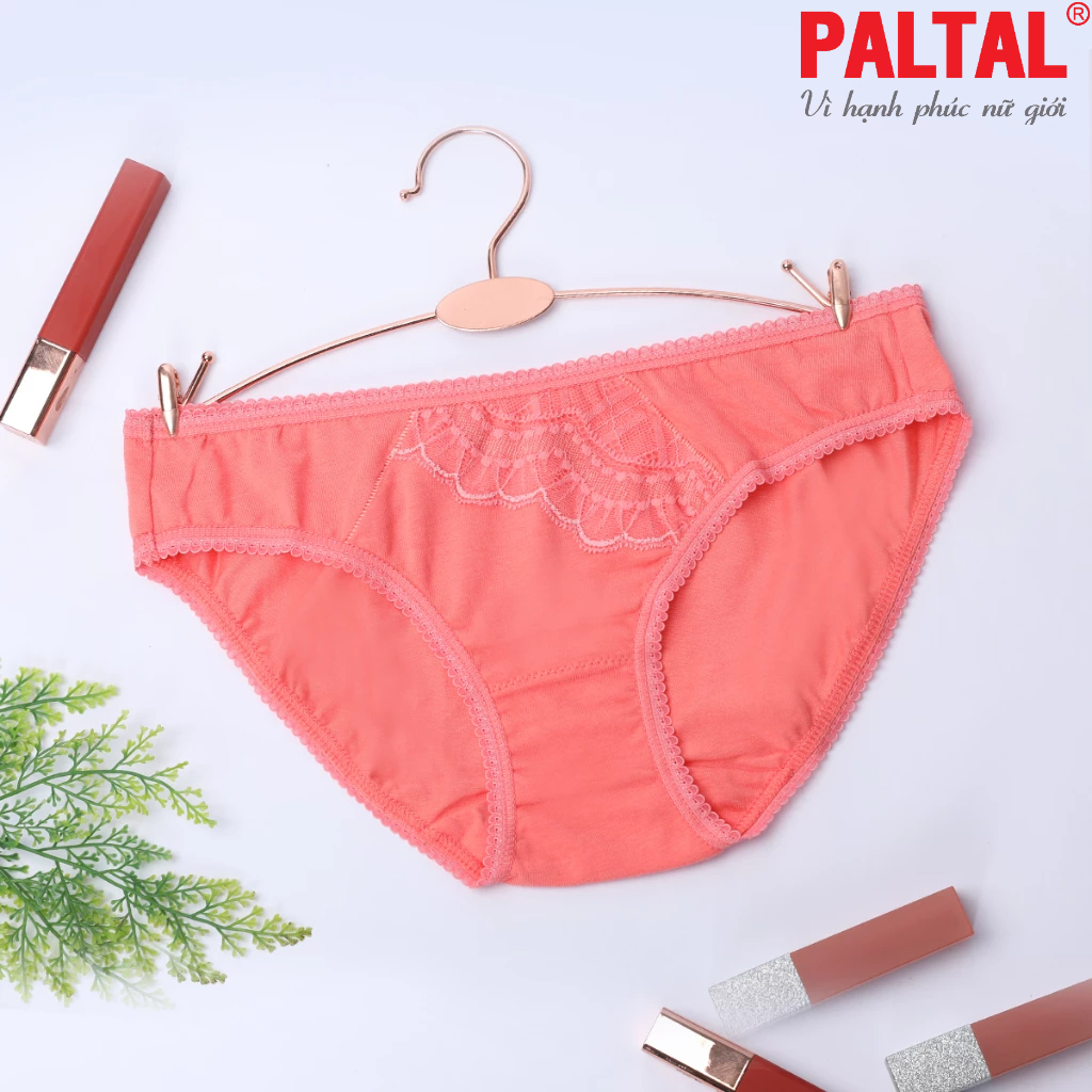 Combo 02-06-10 quần lót cotton 027p 7248