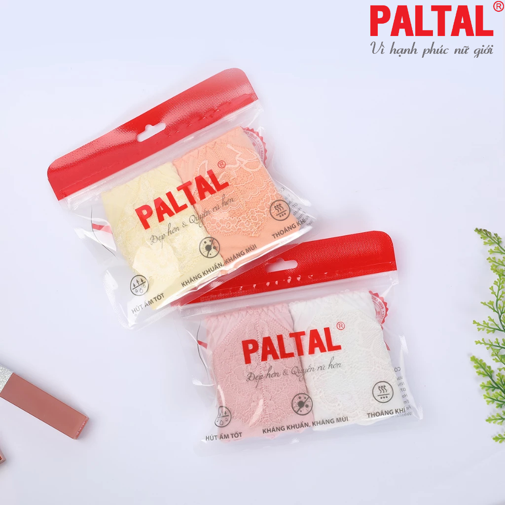 Combo 02-06-10 quần lót cotton 027p 7247