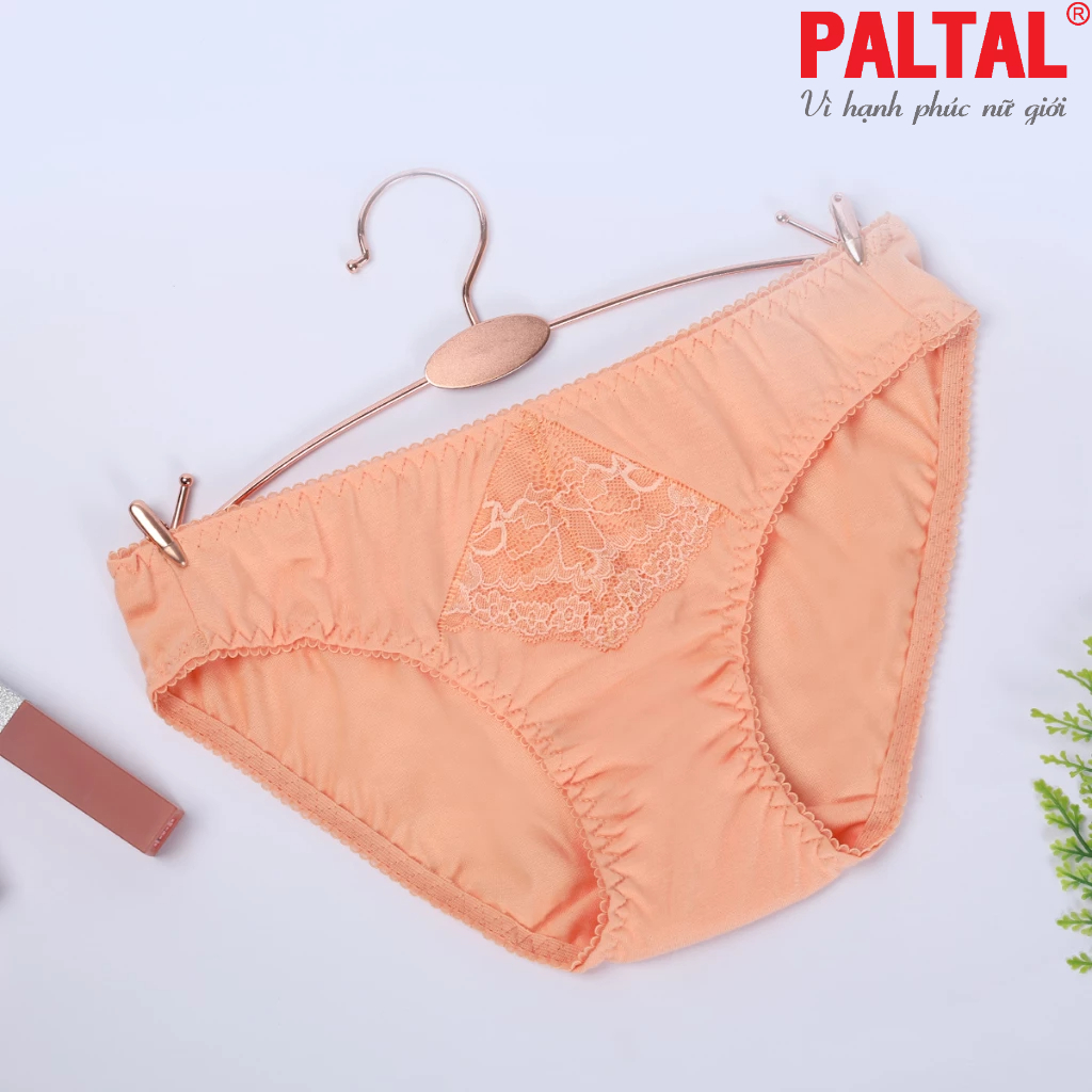 Combo 02-06-10 quần lót cotton 027p 7247