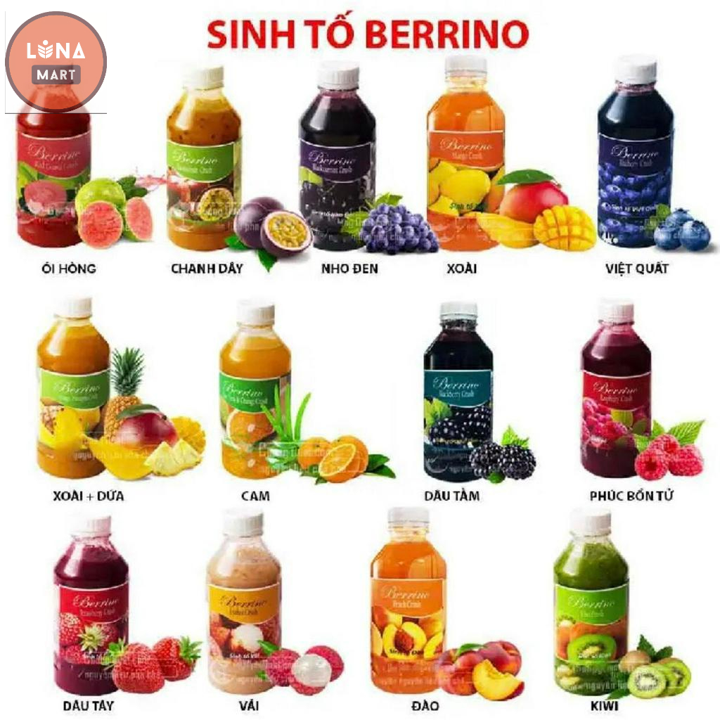 Sinh tố Berrino hoa quả đủ các loại