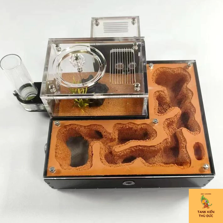 Tank Đất Đỏ Cao Cấp -  Loại mới