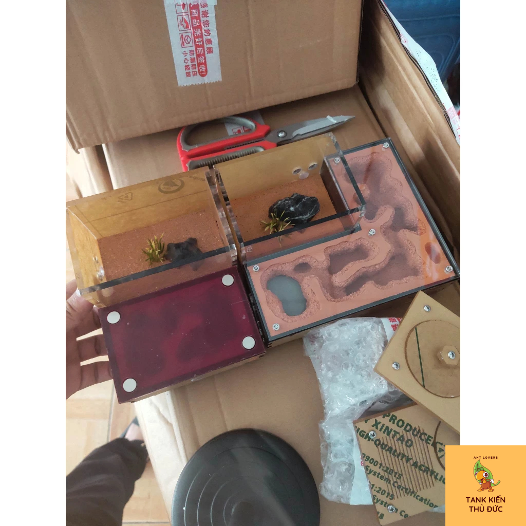 Tank Đất Đỏ Cao Cấp -  Loại mới