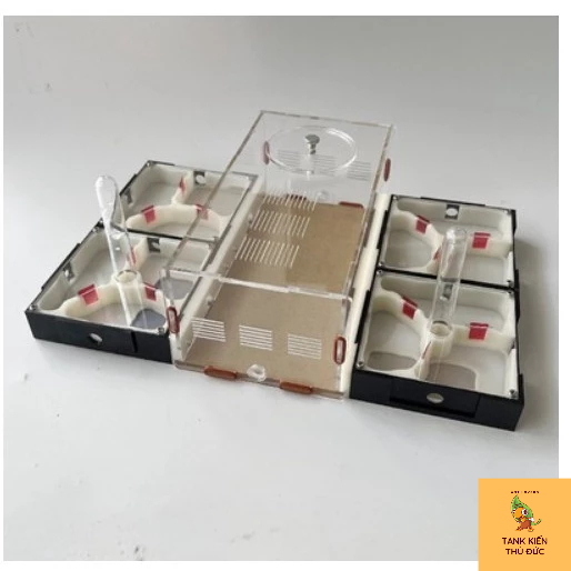 tank kiến - tổ nuôi kiến in 3d