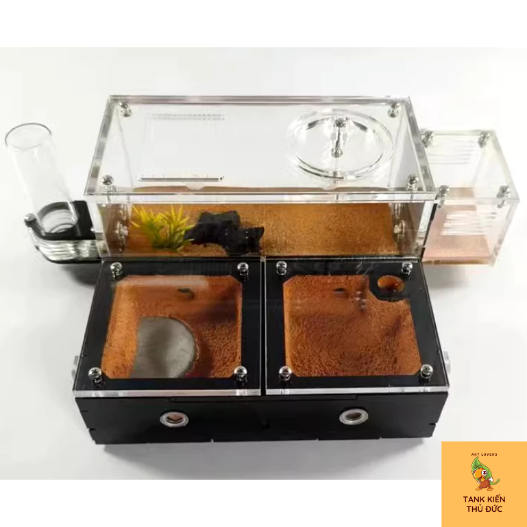 Tank đất đỏ 16*16