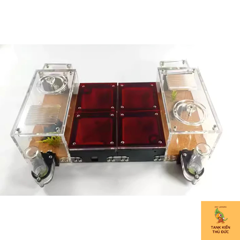 Tank đất đỏ 16*16