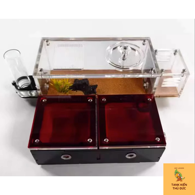 Tank đất đỏ 16*16