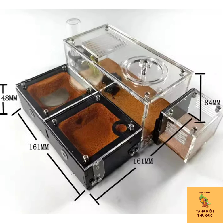 Tank đất đỏ 16*16