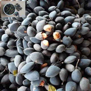Say Lào chua chua ngọt ngọt .