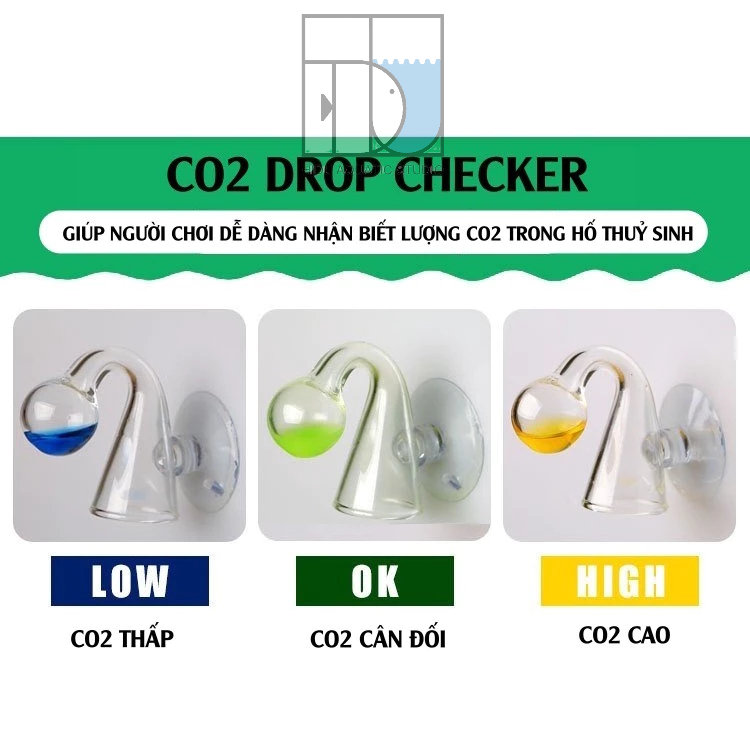 Check co2 ,test co2 cho hồ thủy sinh, cá cảnh