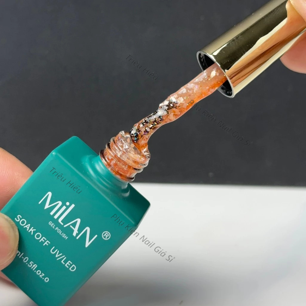 Sét sơn gel nhũ xà cừ 6 màu milan