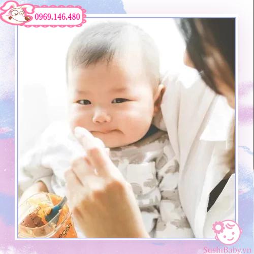 Bình sữa Hegen PPSU