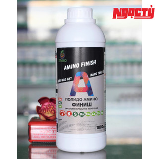 Amino finish của symbio giúp nặng trái, chắc hạt, chai 1 lít