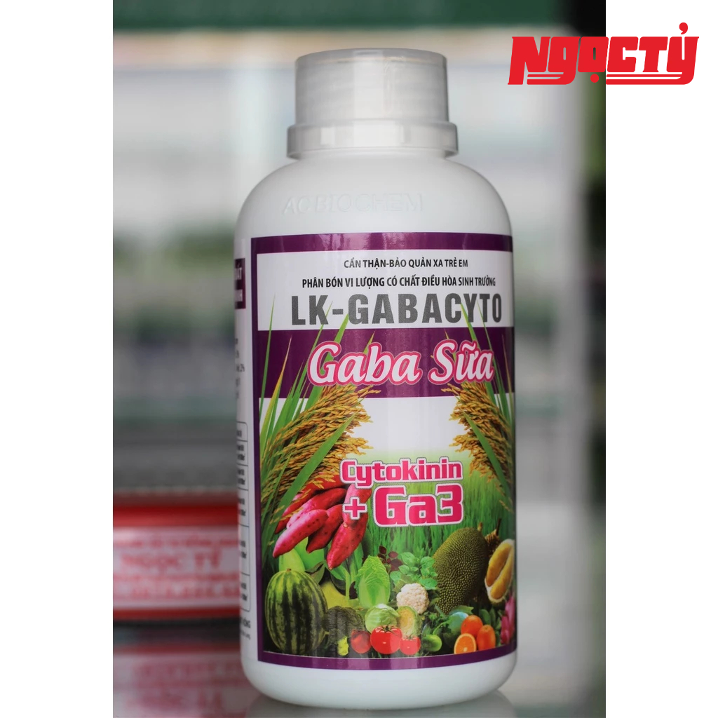 Gaba Sữa chai 500ml của An Phát Nông