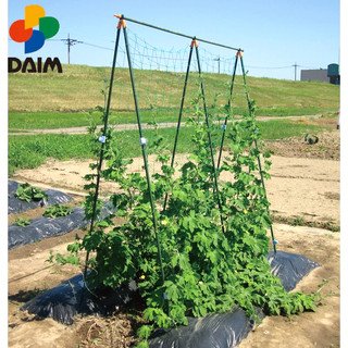 Giàn leo chữ a daim tana shichu ts 1.8 dài 180 x cao 180 cm, xanh lá cây đậm.