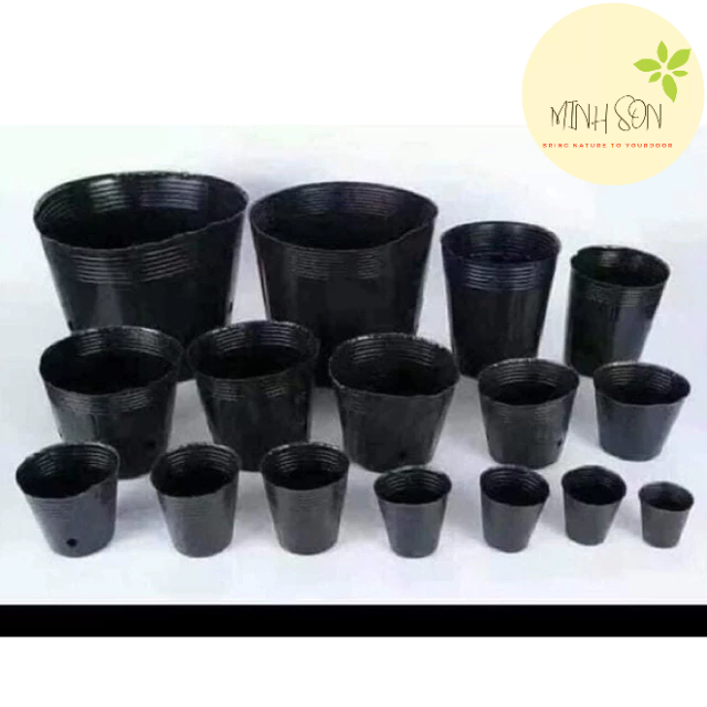 Túi bầu trồng cây 1kg 500g ĐỦ SIZE chậu bầu ươm cây cây HÀNG ĐẸP túi nhựa đen trồng cây, bầu ươm, túi ươm cây