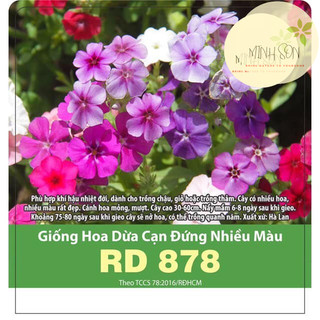 Hạt giống hoa dừa cạn đứng nhiều màu 0.03gr