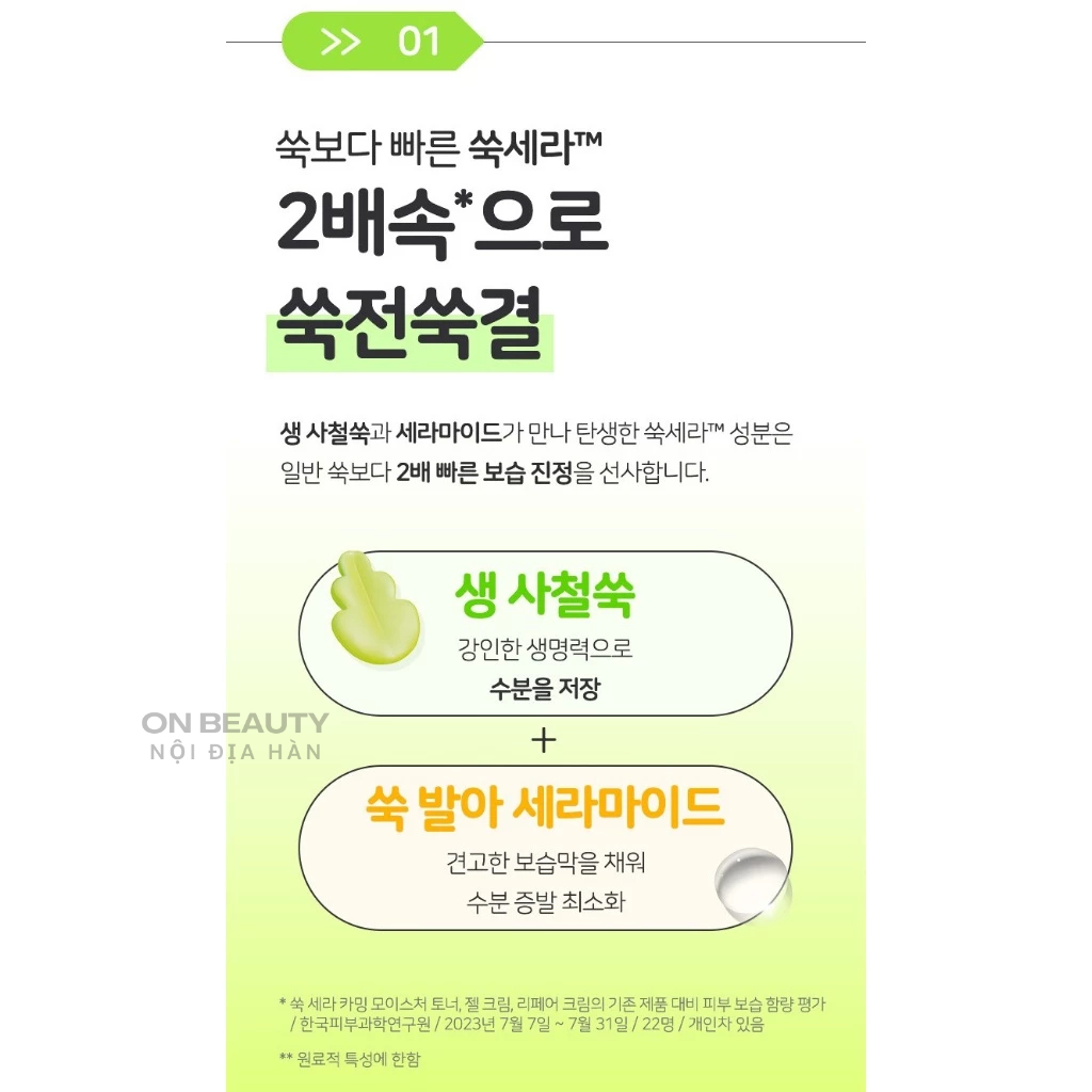 Sữa rửa mặt ngải cứu Bring Green Artemisia Care Calming Moisture PH Balance Cleasing Foam 200ml