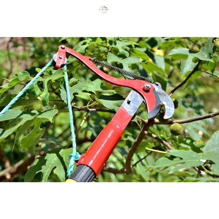 Kéo cắt cành trên cao loại tốt