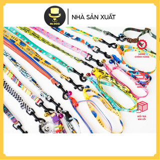Mr.Dog - Dây Dắt + Vòng Cổ 1.0 cm
