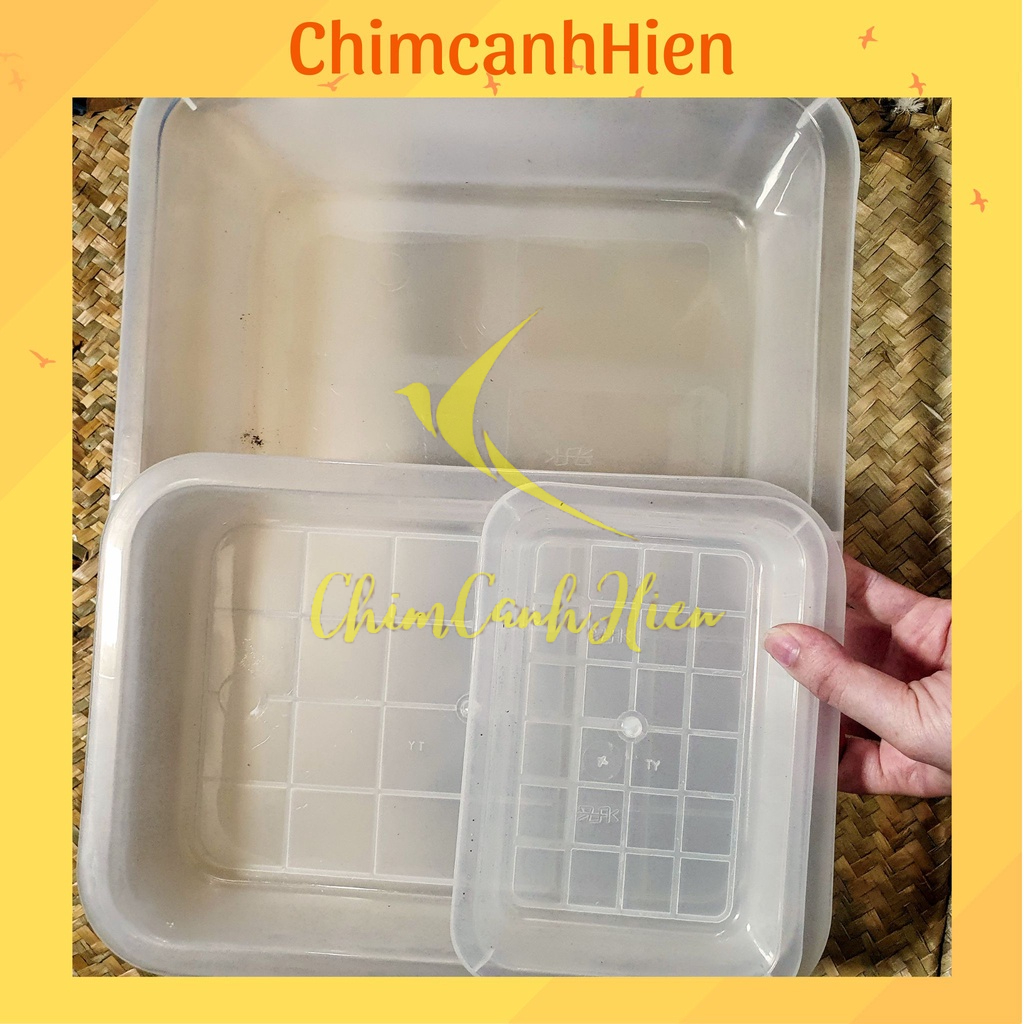Khay tắm nhựa cho chim cảnh 3 size lựa chọn