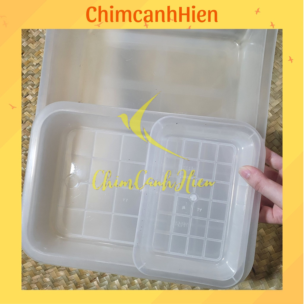 Khay tắm nhựa cho chim cảnh 3 size lựa chọn