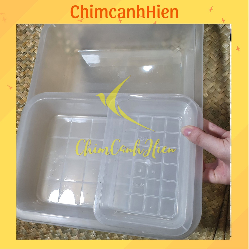 Khay tắm nhựa cho chim cảnh 3 size lựa chọn