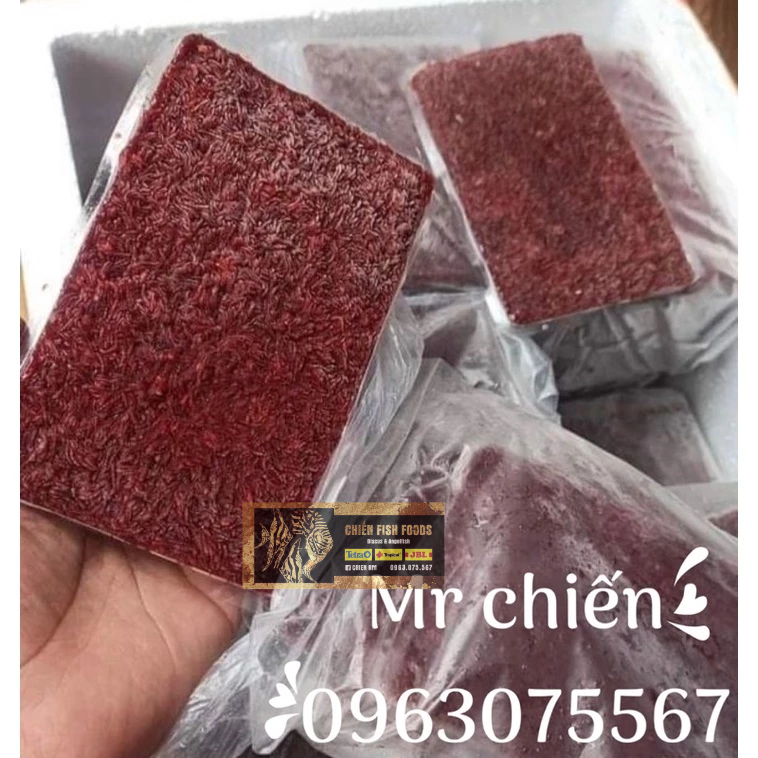 TRÙNG HUYẾT KHÔNG NƯỚC LOẠI VIP 1 (Thực phẩm tươi cao cấp cho các loài sinh vật cảnh: cá cảnh, rùa cảnh, bò sát…)