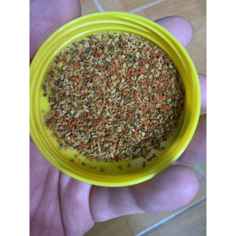 TetraMin Tropical Granules: cám hạt cho các dòng thuỷ sinh