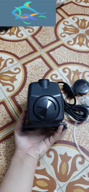Đầu máy bơm nước LifeTech AP3500