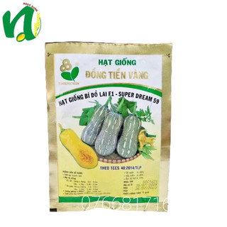 Hạt giống bí đỏ 11gr super dream 59