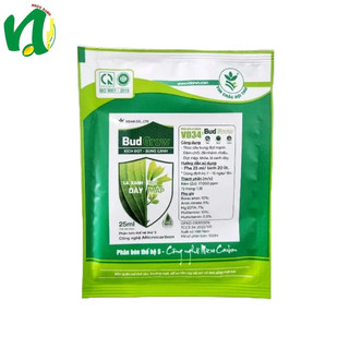 Kích đọt bung cành – đọt mập – lá dày xanh mướt