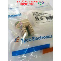 Ruột mạng cat 5 âm tường rj45